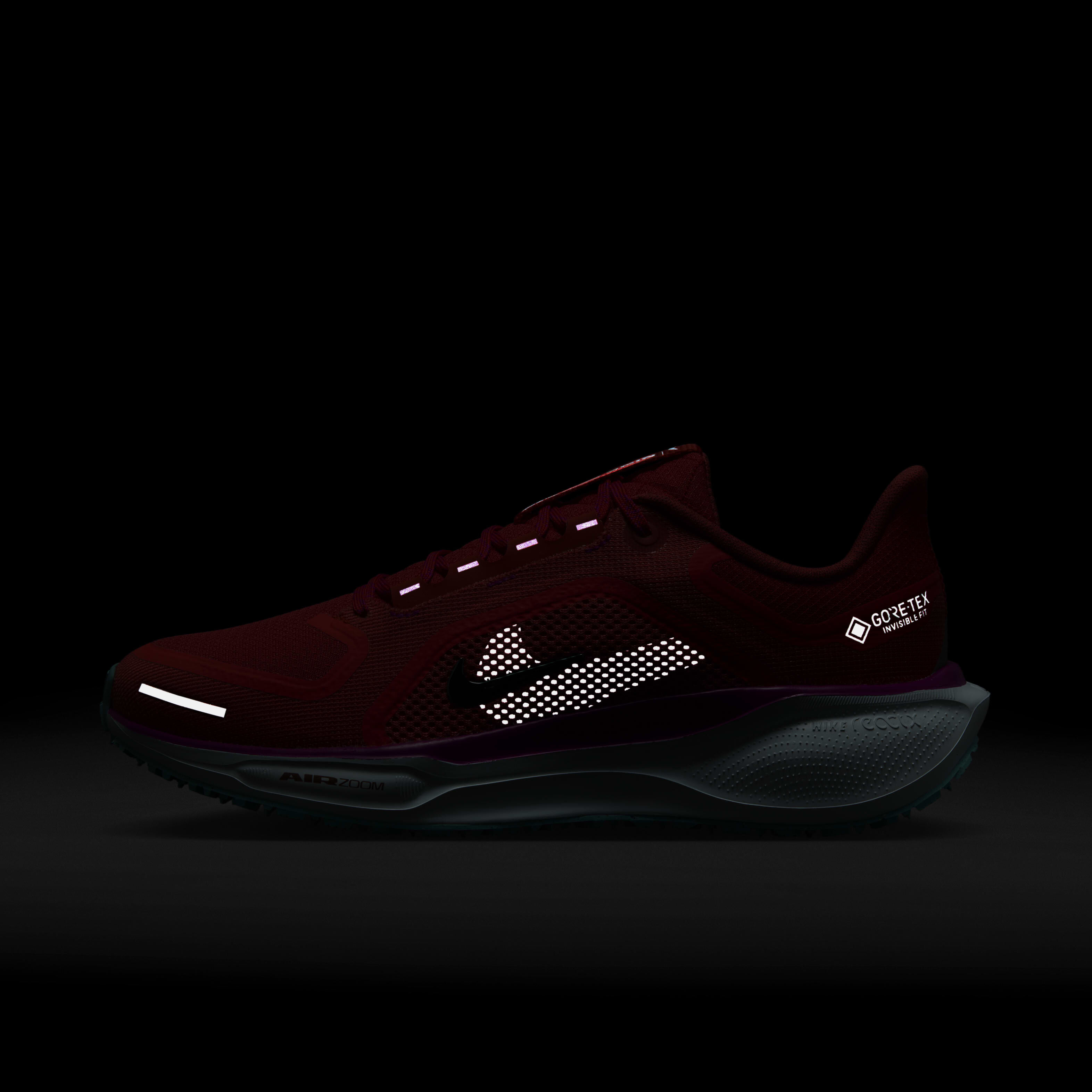 Nike Pegasus 41 GORE-TEX image number 9