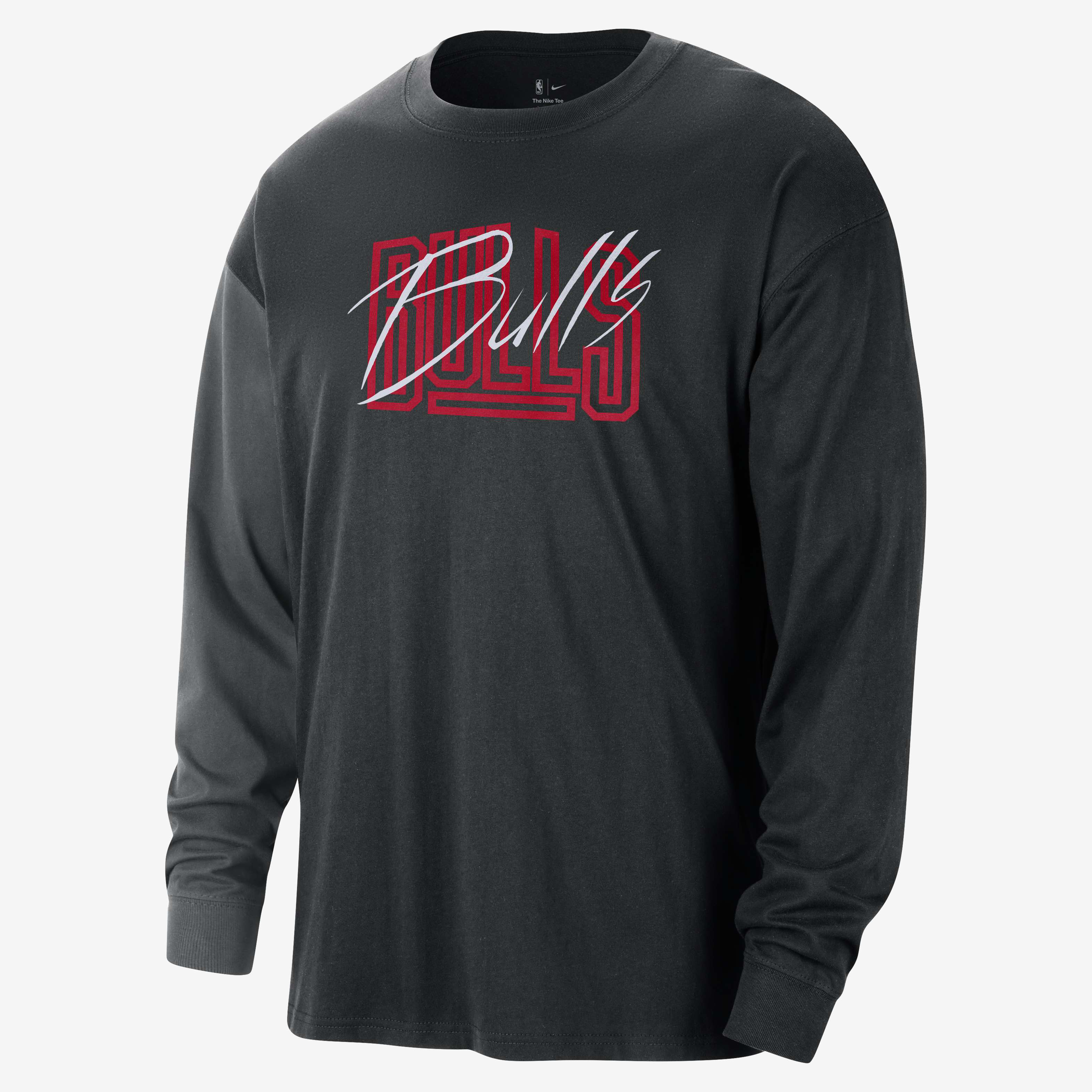 Chicago Bulls Courtside image number 0