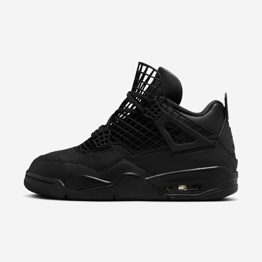 Women's Lifestyle Shoes-JRDN, Air Jordan 4 Net, Women's Shoes