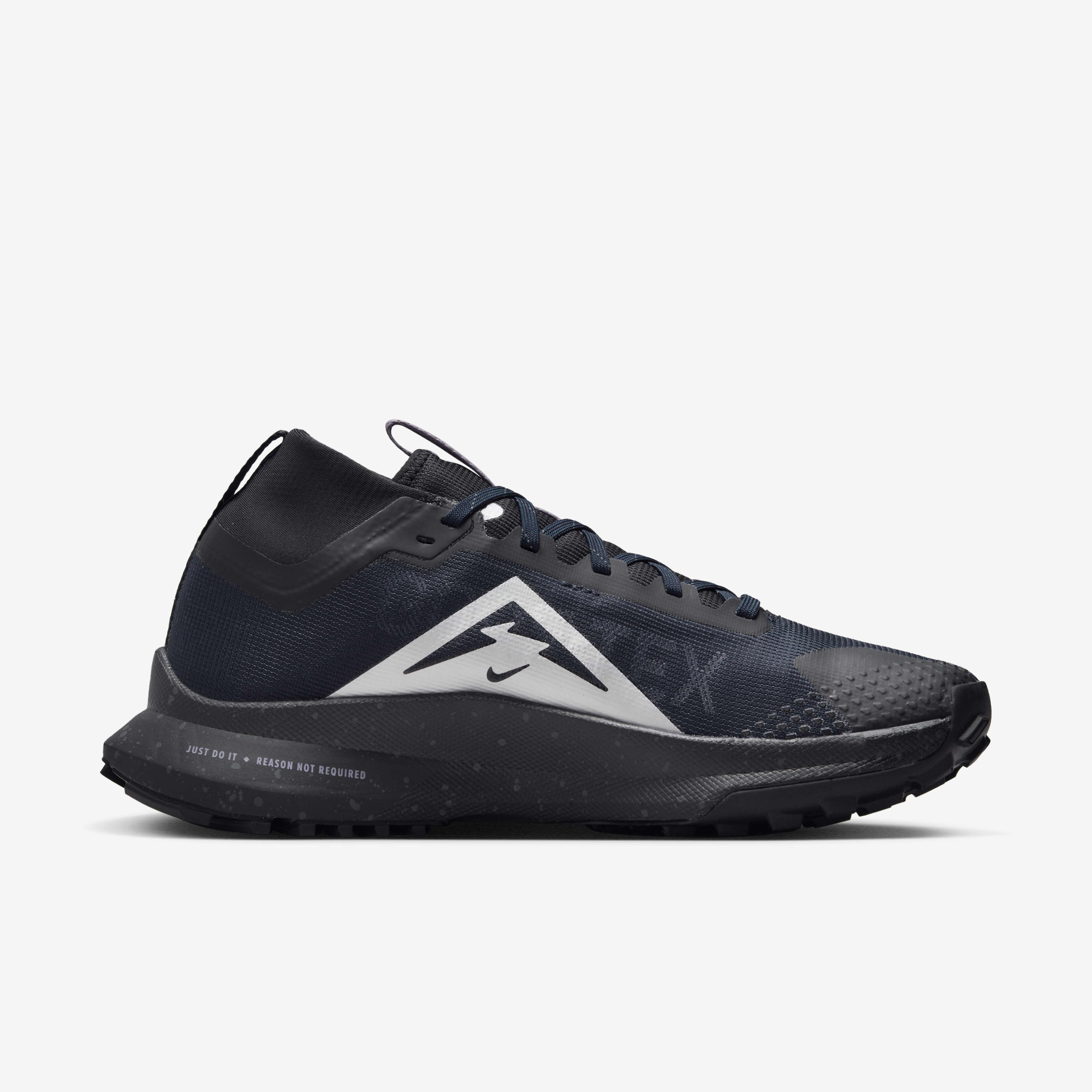 Nike Pegasus Trail 4 GORE-TEX image number 2