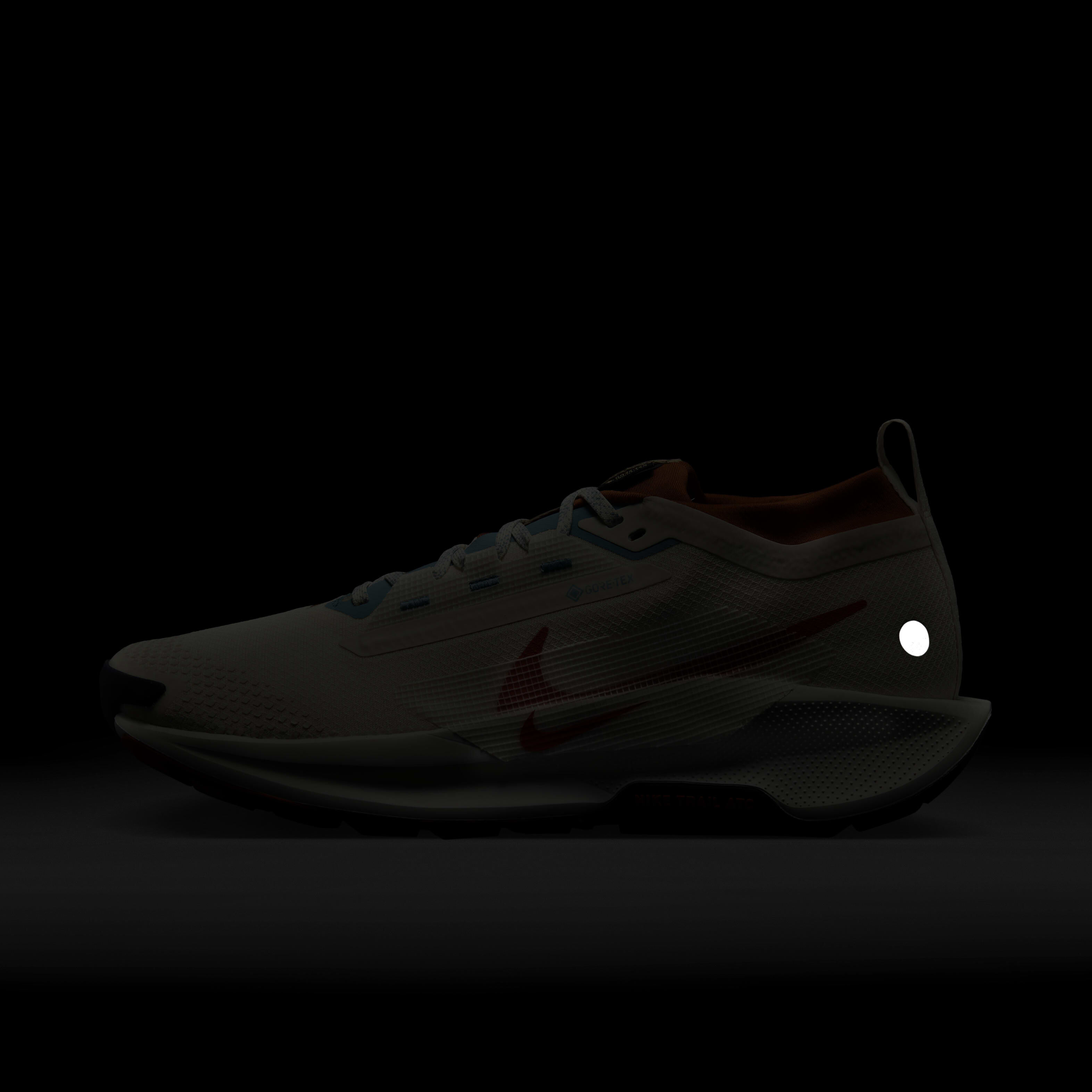 Nike Pegasus Trail 5 GORE-TEX image number 9