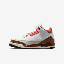Air Jordan 3 Retro SE