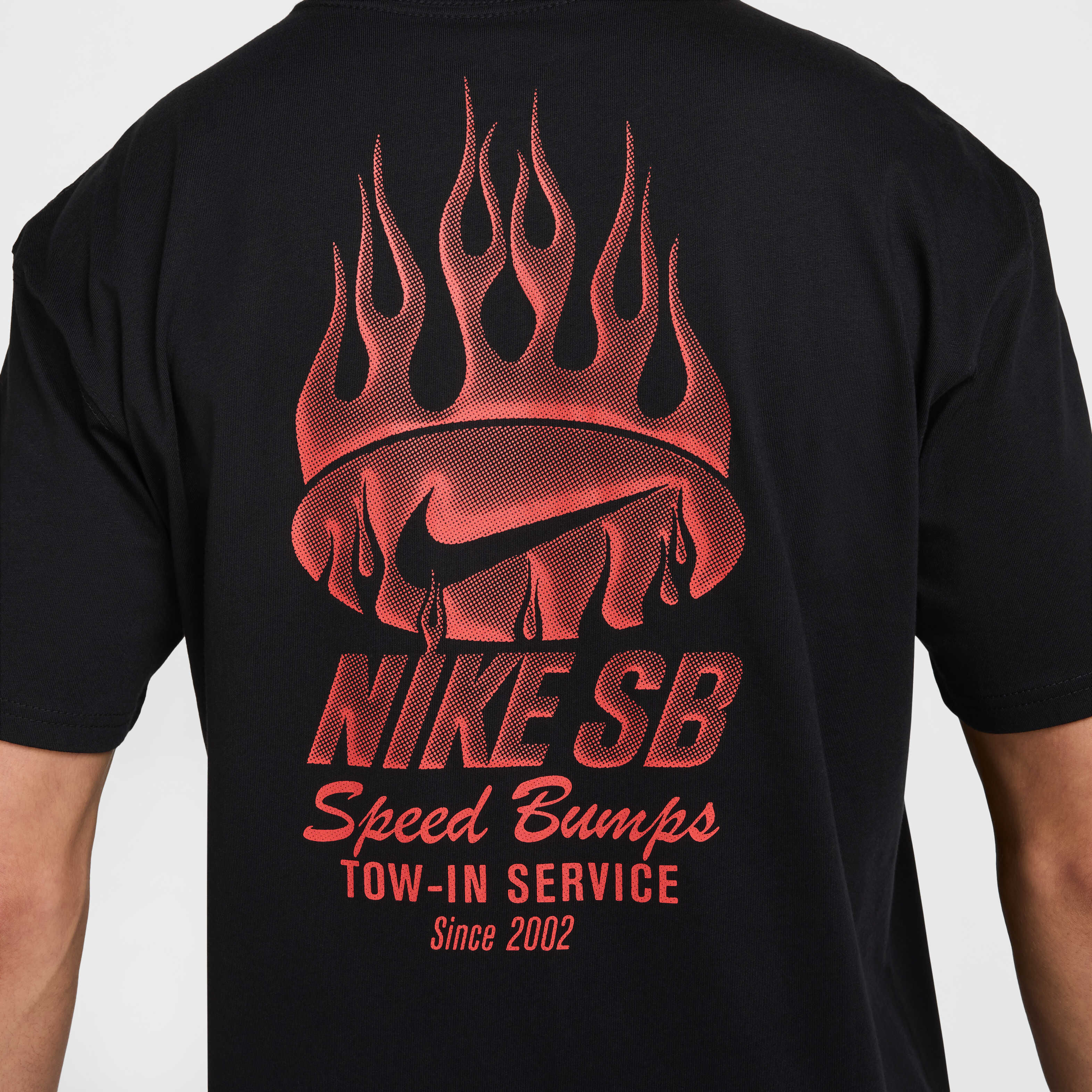 Nike SB image number 4
