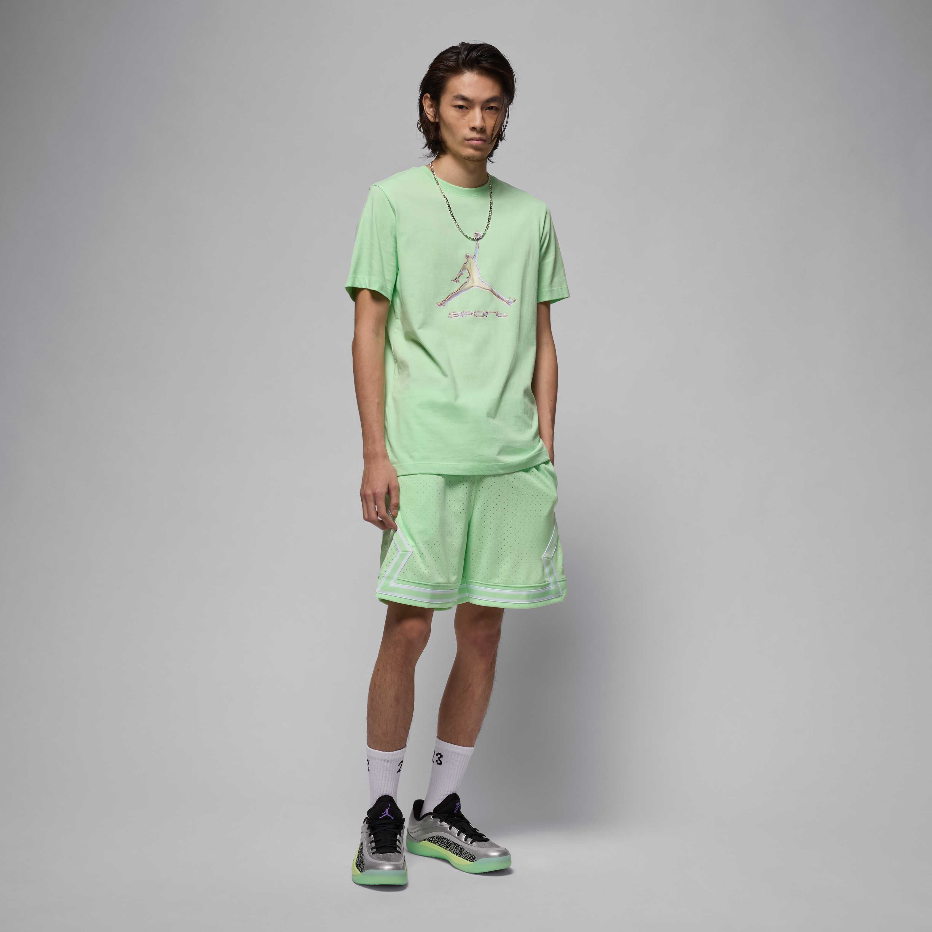 Zion 4 image number 9