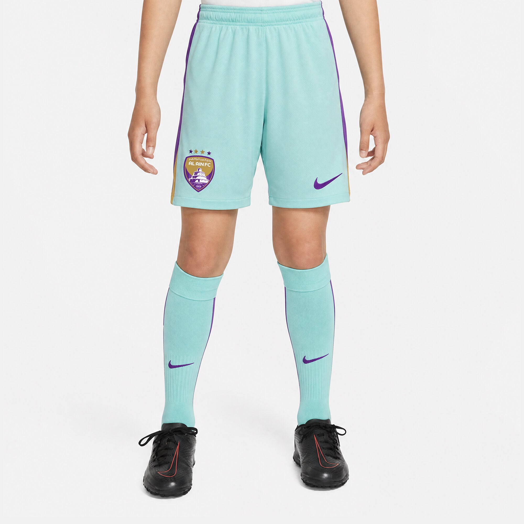 العين 26/2025 ستاديوم البديل image number 0
