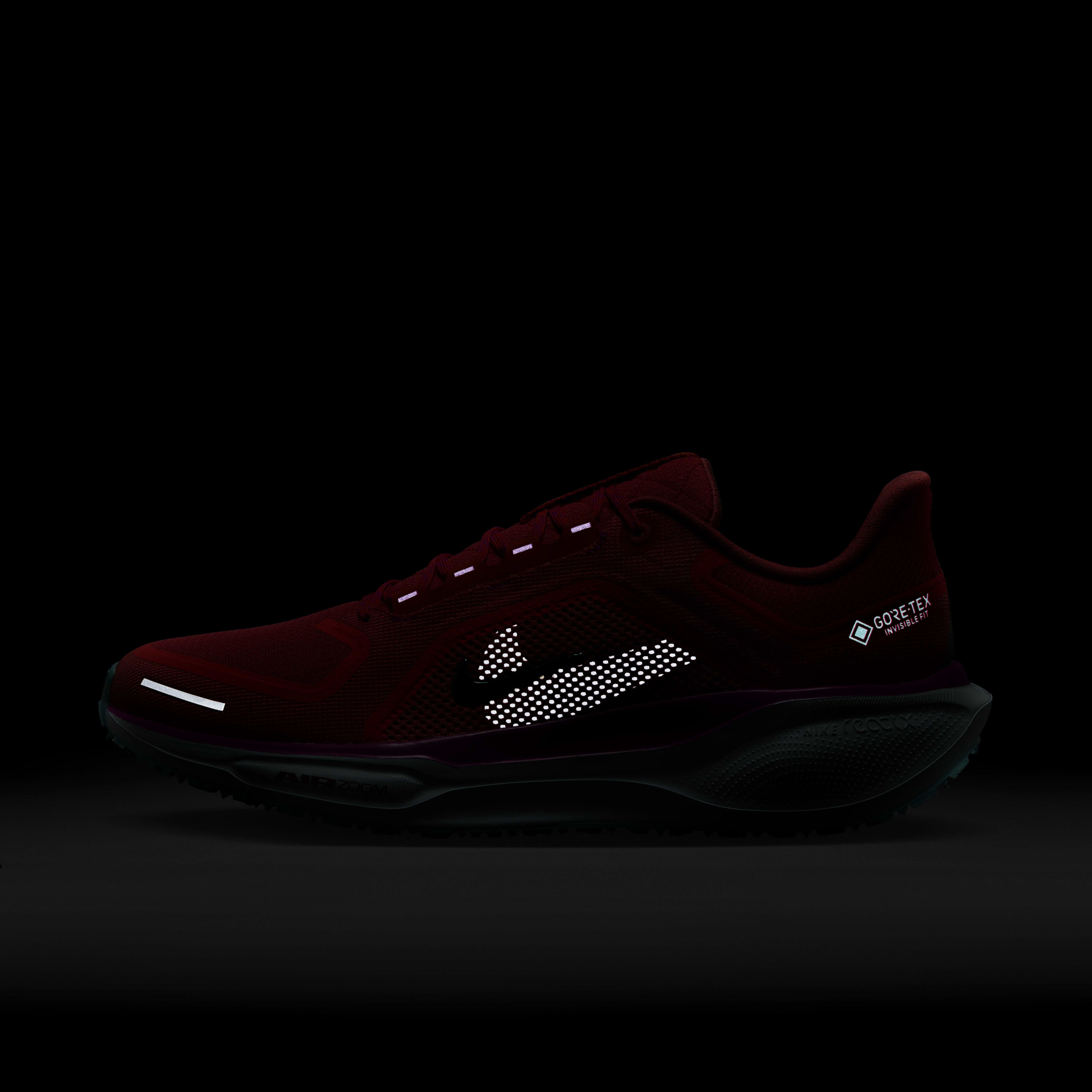 Nike Pegasus 41 GORE-TEX image number 10