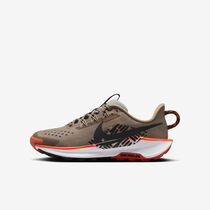 Nike Pegasus Trail 5