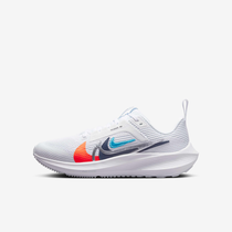 اير زووم بيجاسوس 40 PR