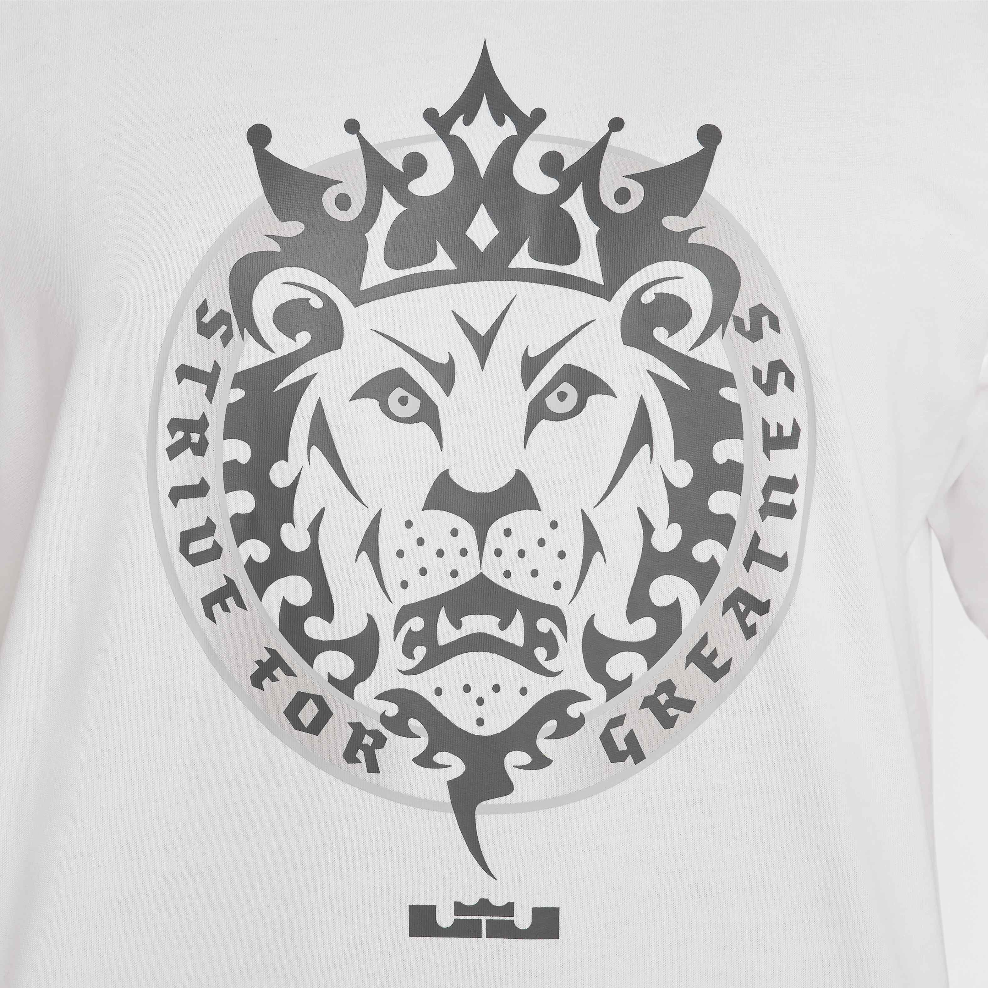 LeBron image number 8