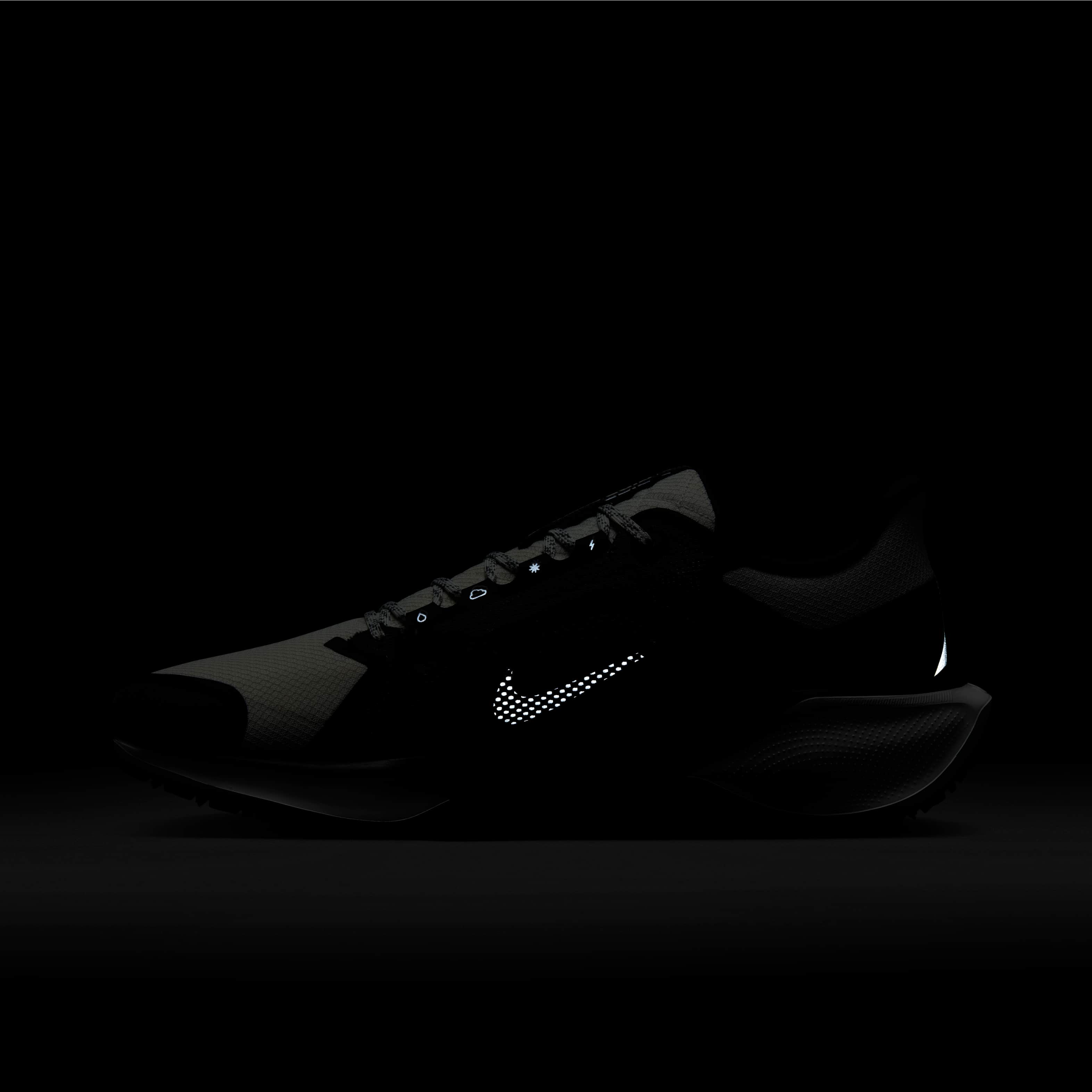 Nike Pegasus 41 GORE-TEX image number 11