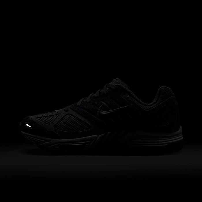 نايكي اير بيجاسوس 2005 image number 9 نايكي اير بيجاسوس 2005 image number 9