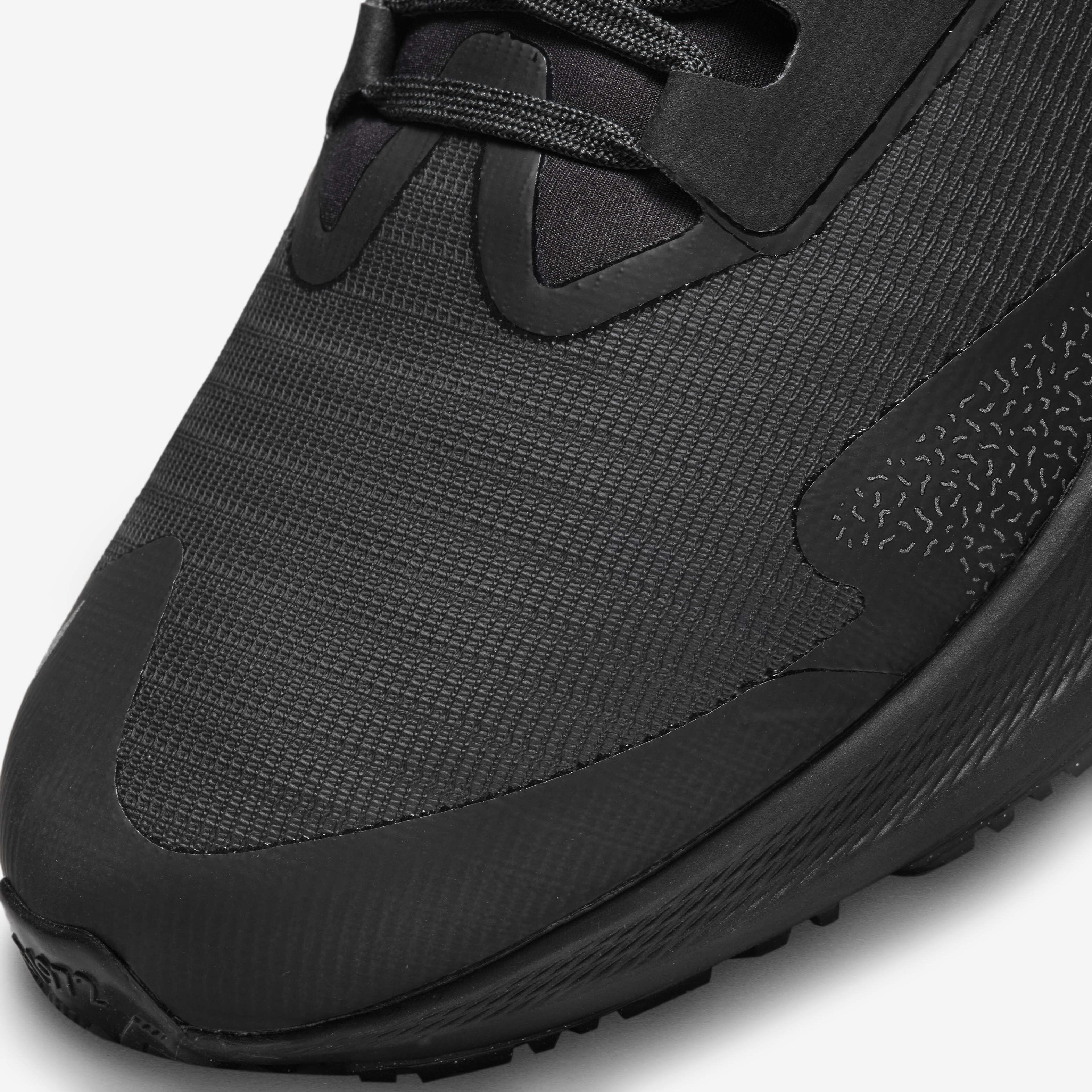 Nike Pegasus 39 Shield image number 6
