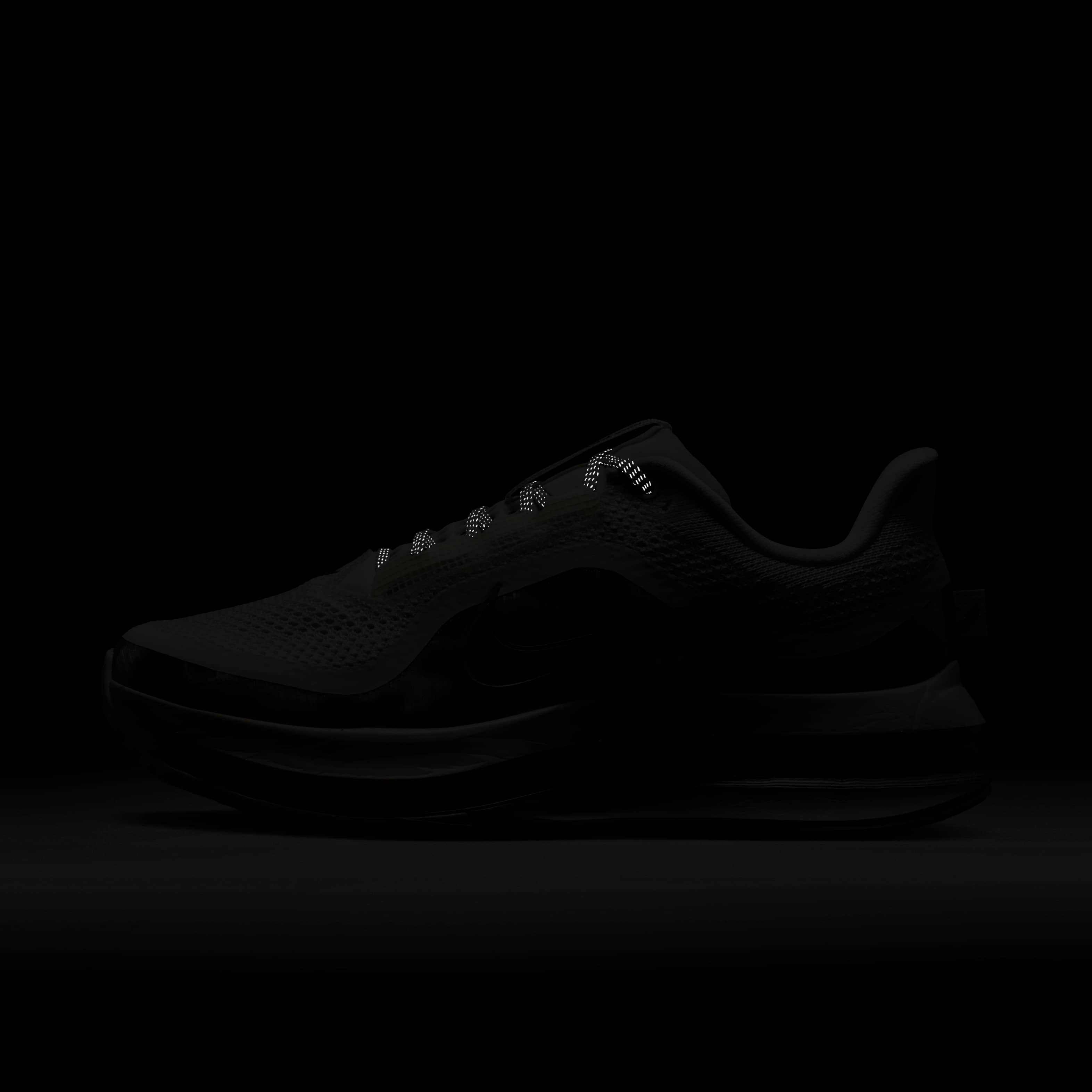 Nike Pegasus Premium SE image number 8