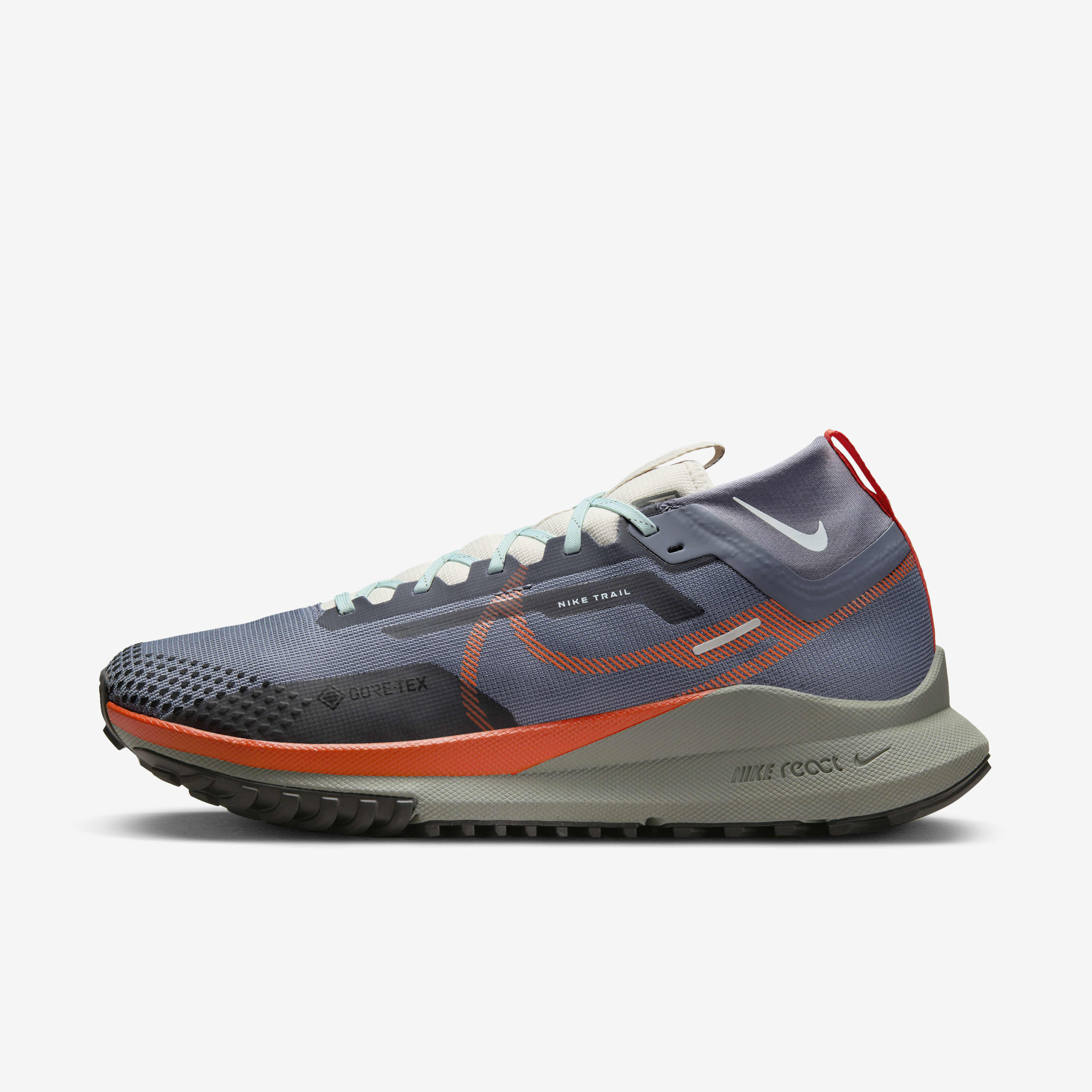 Nike Pegasus Trail 4 GORE-TEX image number 0