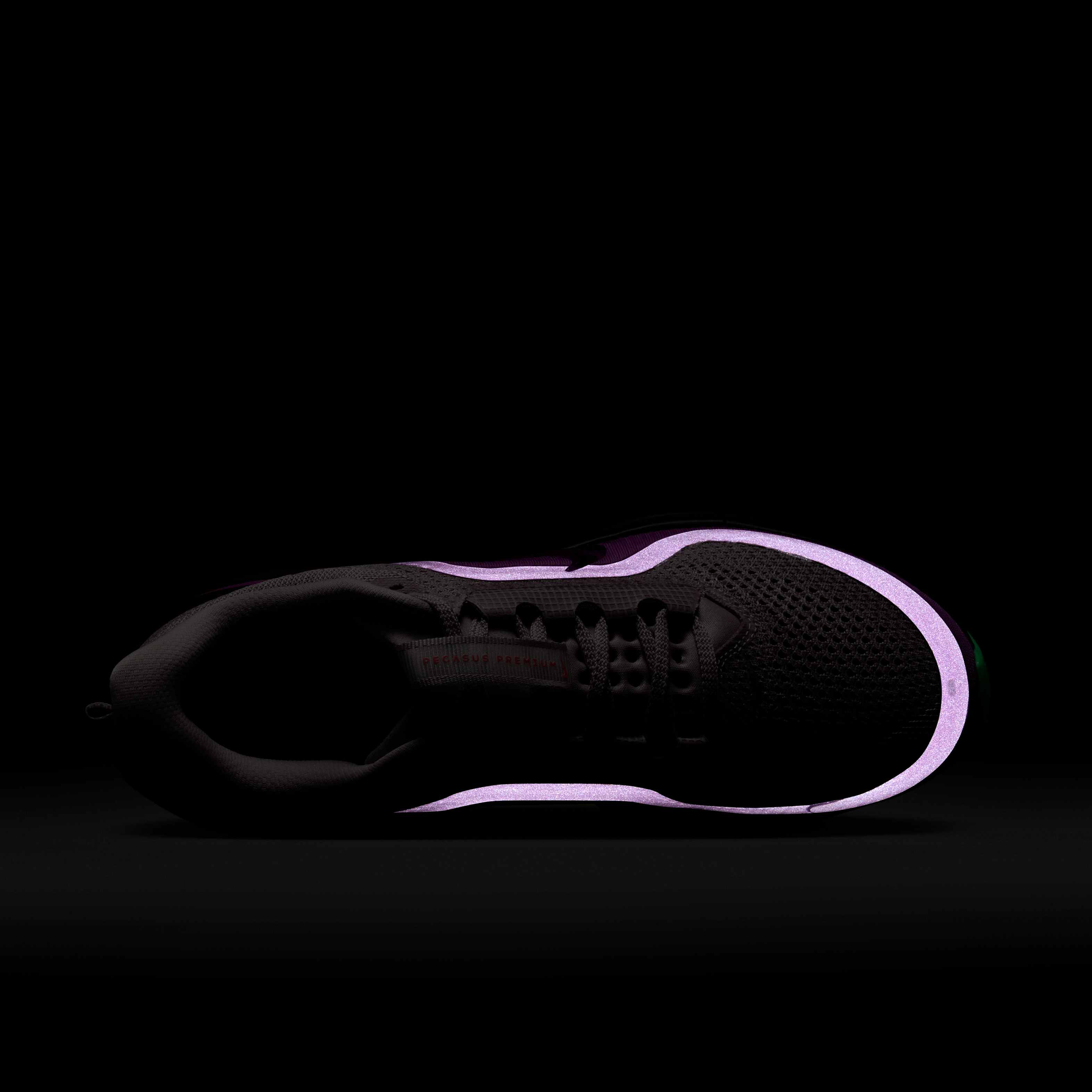 نايكي بيجاسوس بريميوم image number 8